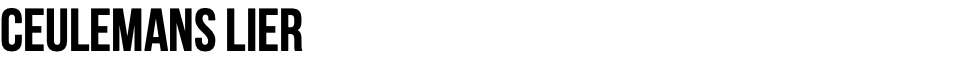 CEULEMANS LIER
